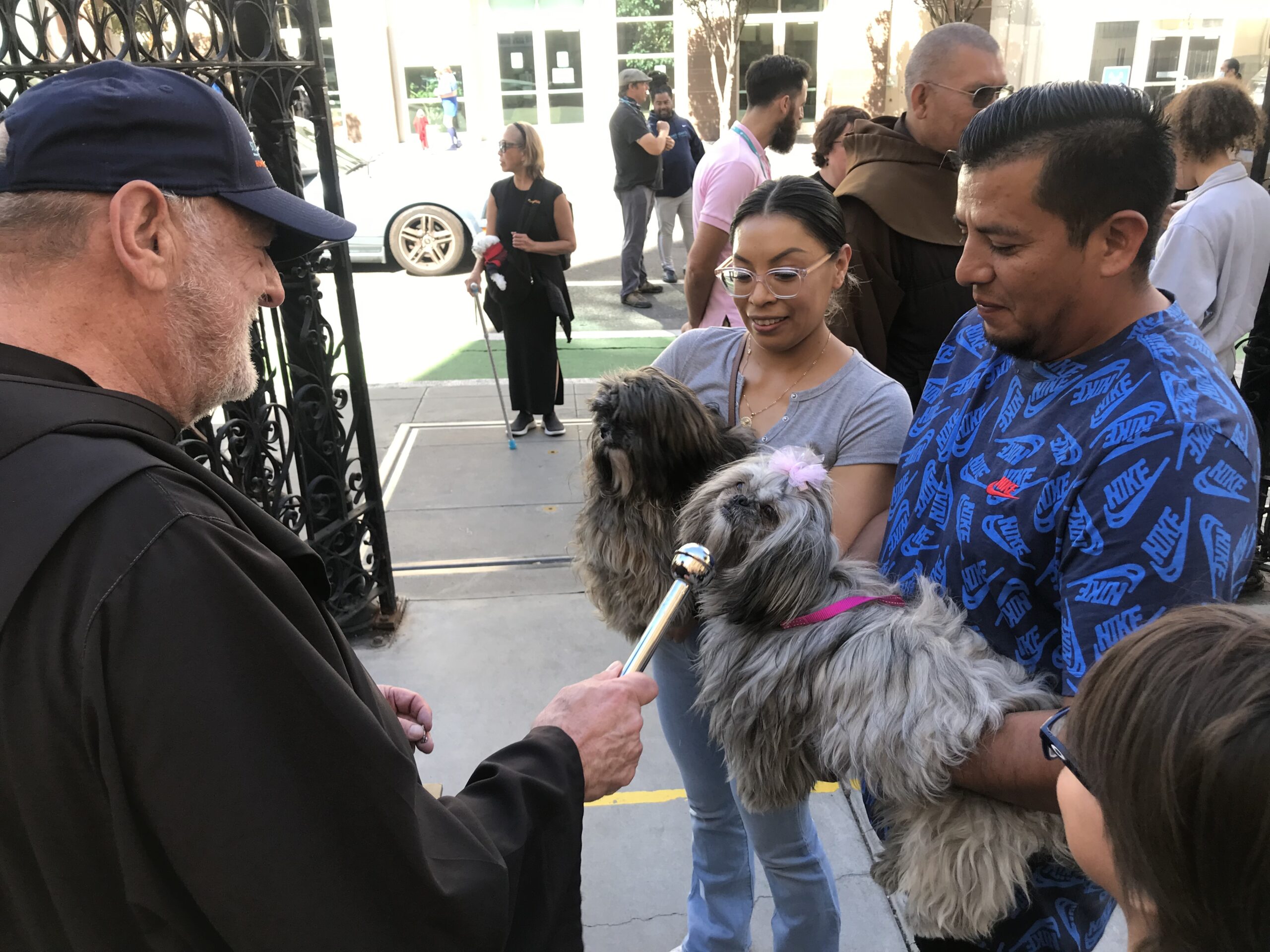 Huskies, Maltese terriers, and mutts turn out for St. Anthony’s Blessing of the Animals at St. Boniface Church 