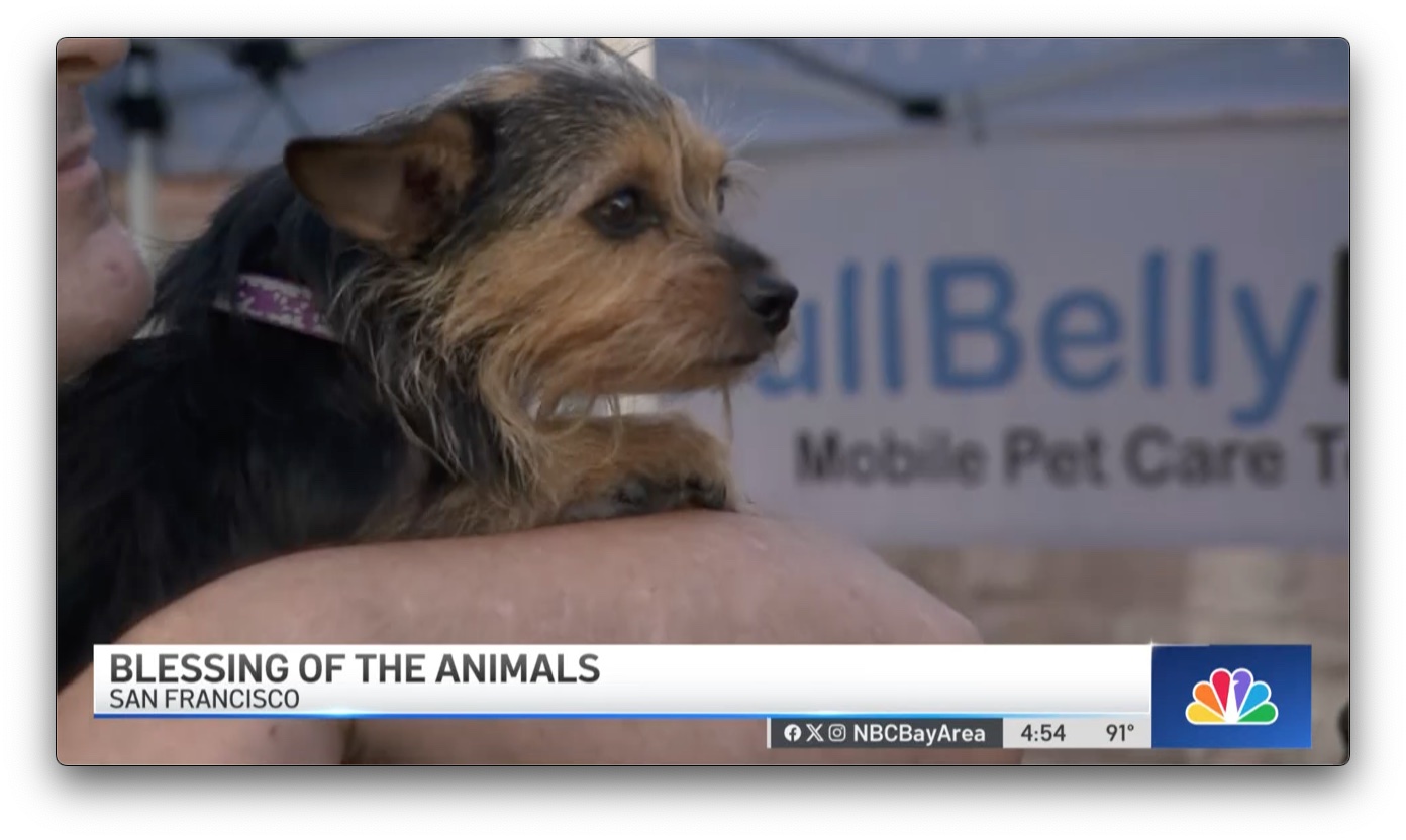 NBC Bay Area News: Blessing of the Animals at St. Anthony’s